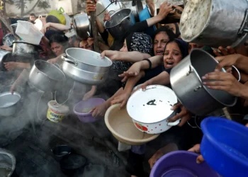 Over 100 NGOs raise Gaza ‘mass starvation’ alarm amid Israel’s war