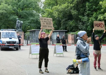 German zoo culls 12 baboons over lack of space despite protests