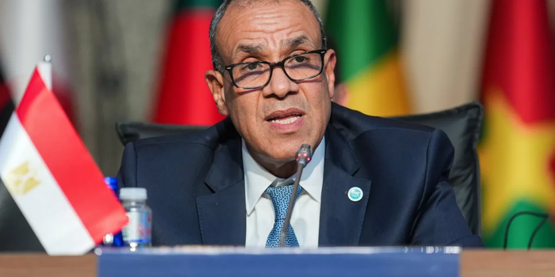 Egypt’s FM, US counterpart discuss Gaza cease-fire efforts