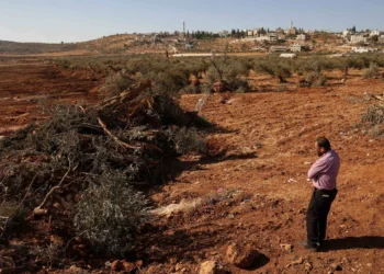Israeli rights group slams general for committing war crimes in W. Bank