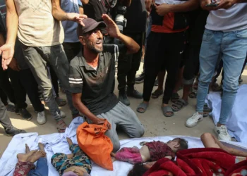 Madonna urges Pope to visit Gaza, act to save starving children