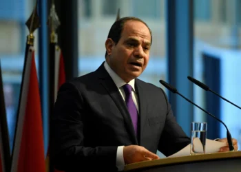 Israel pursuing genocide, starvation in Gaza: Egypt’s el-Sissi