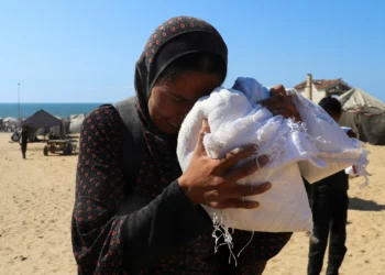 Little aid reaching Gaza’s most needy amid chaos, looting, gunfire