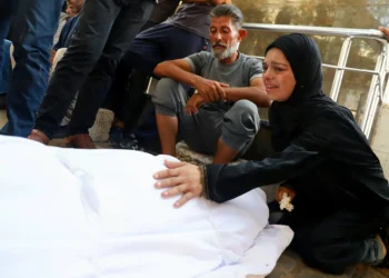 Israeli strikes kill 36 more in Gaza as famine deaths rise to 239