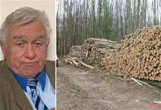 ‘It will go down like a lead balloon’: Landlord’s plan to sell woodland to council for traveller site