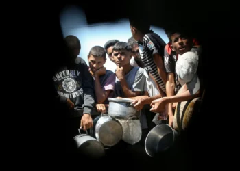 Israel deliberately starving Palestinians in Gaza: Amnesty