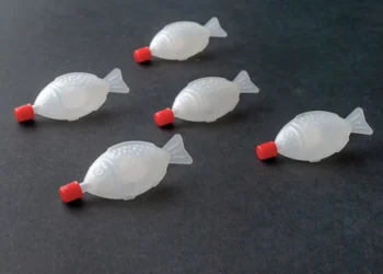 Australian state bans fish-shaped soy sauce bottles
