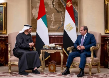 Egyptian, UAE leaders discuss Gaza, voice backing for Trump plan