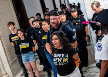 Sunrise Movement, Founded to Fight Climate Change, Pivots to Fighting Trump