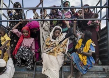 From Gaza to Sudan: “Their Pain Is Ours”