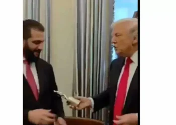 ‘How Many Wives?’ Trump Asks Syrian President At White House Meet I Video