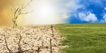 COP30 Must Deliver On Adaptation, Just Transition And Finance: UNDP India Representative | Exclusive