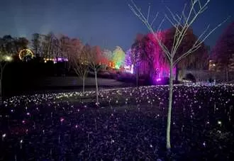 We visit the must-see, magical Christmas lights trail