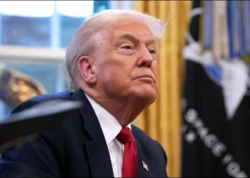 ‘Ukraine-Russia Peace Deal Closer Than Ever’: Trump Amid Talks In Berlin