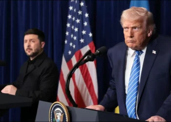 ‘Russia Wants Ukraine To Succeed,’ Says Trump After Meeting Zelenskyy; His Reaction Goes Viral
