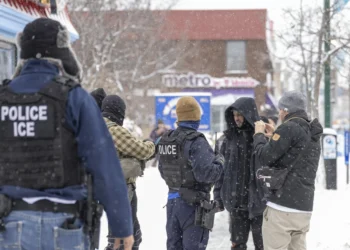 10 Companies Have Already Made $1 Million as ICE Bounty Hunters. We Found Them.