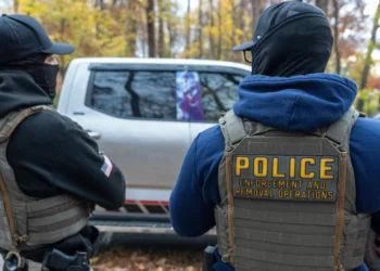 ICE Drives Unmarked Cars. This Public Database Tracks Their License Plates.