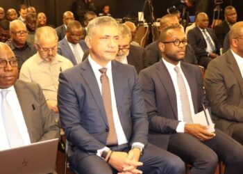 Reforming Angola’s Electricity Sector: João Baptista Borges Advances Governance, Efficiency and System Stability