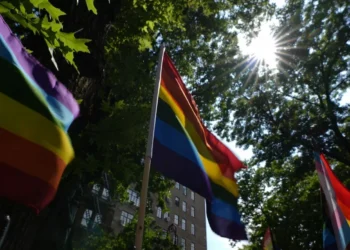 Stonewall pride flag removal sparks lawsuit