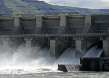 Judge orders changes to Pacific Northwest dam operations to help salmon