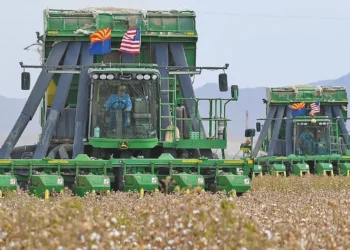 EPA reapproves herbicide dicamba with some restrictions