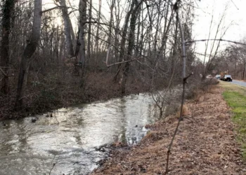 Trump presses DC-area officials on Potomac spill: ‘I am awaiting your call’