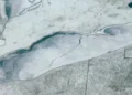 130-Km Crack Splits Frozen Lake Erie Between US And Canada, Visible From Space