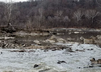 What to know about the disastrous Potomac sewage spill