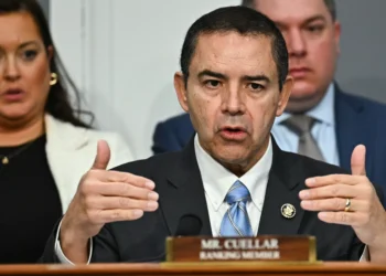 Texas Progressives Say Democratic Establishment Is Blowing It In the Rio Grande Valley